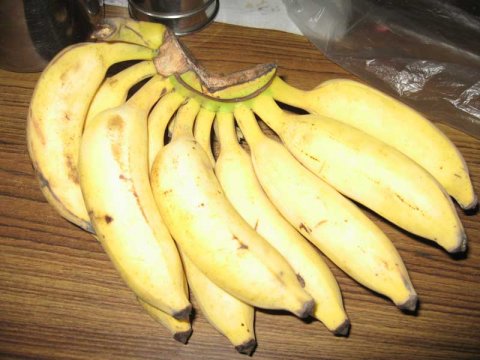 Bananas from Karnataka