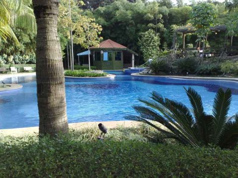 Bangalore Swimming Pool